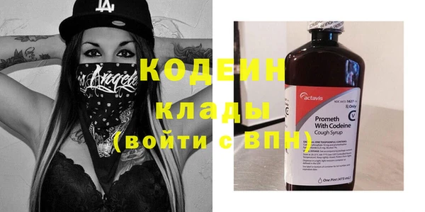 дживик Богородицк