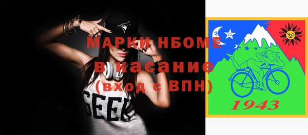дживик Богородицк