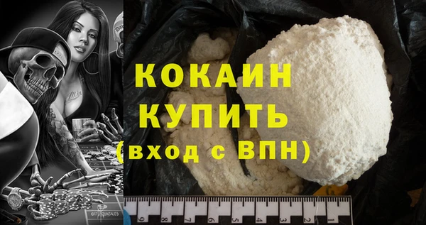 дживик Богородицк