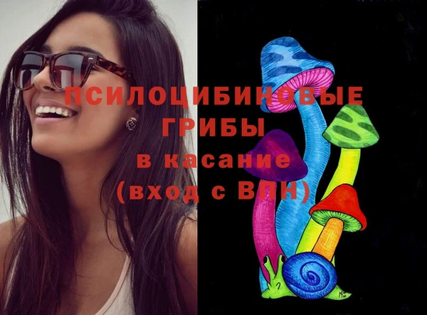 дживик Богородицк