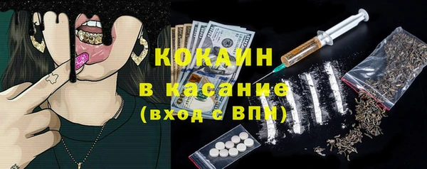 дживик Богородицк