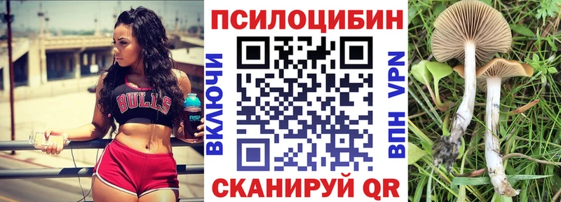 OMG рабочий сайт  Берёзовский  Галлюциногенные грибы прущие грибы 